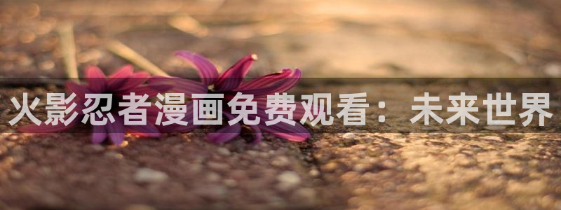 崔白覃秀智漫画韩漫衣柜：火影忍者漫画免费观看：未来世界
