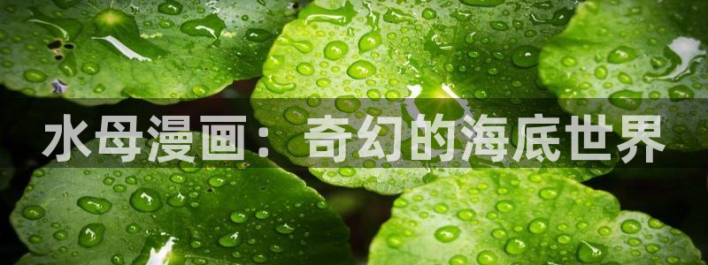 漫画韩漫《家》：水母漫画：奇幻的海底世界