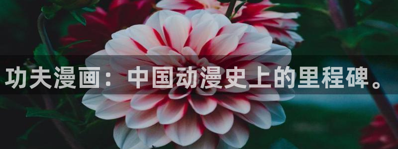 韩漫在线阅读漫画画免费读漫画下拉式：功夫漫画：中国动漫史上的里程碑。