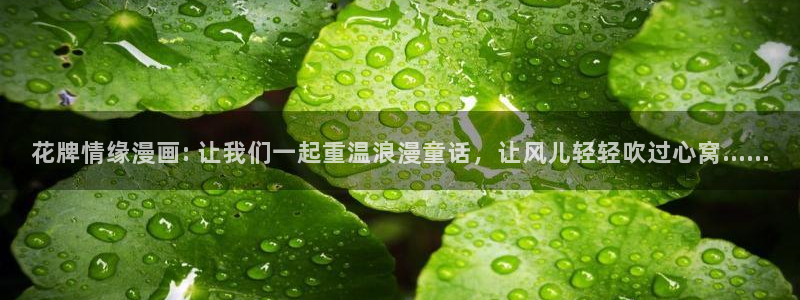 日韩漫画免费阅读：花牌情缘漫画: 让我们一起重温浪漫童话，让风儿轻轻吹过心窝……