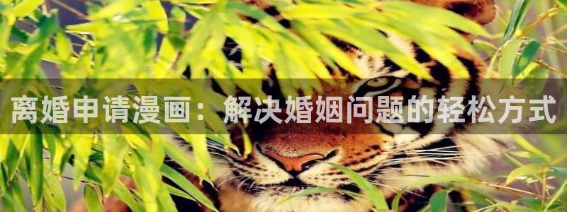 韩漫漫画黄：离婚申请漫画：解决婚姻问题的轻松方式