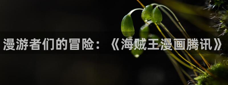 韩漫在线网站免费：漫游者们的冒险：《海贼王漫画腾讯》