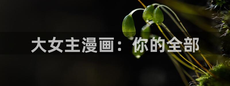 歪歪漫画韩漫网：大女主漫画：你的全部