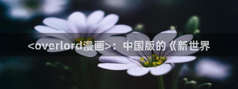 免费观看韩漫的漫画app：<overlord漫画>：中国版的《新世界