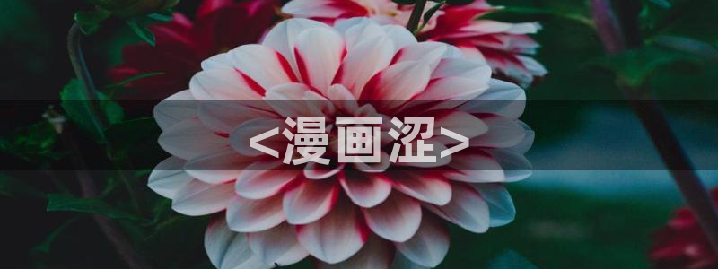 韩漫网站gayrb：<漫画涩>